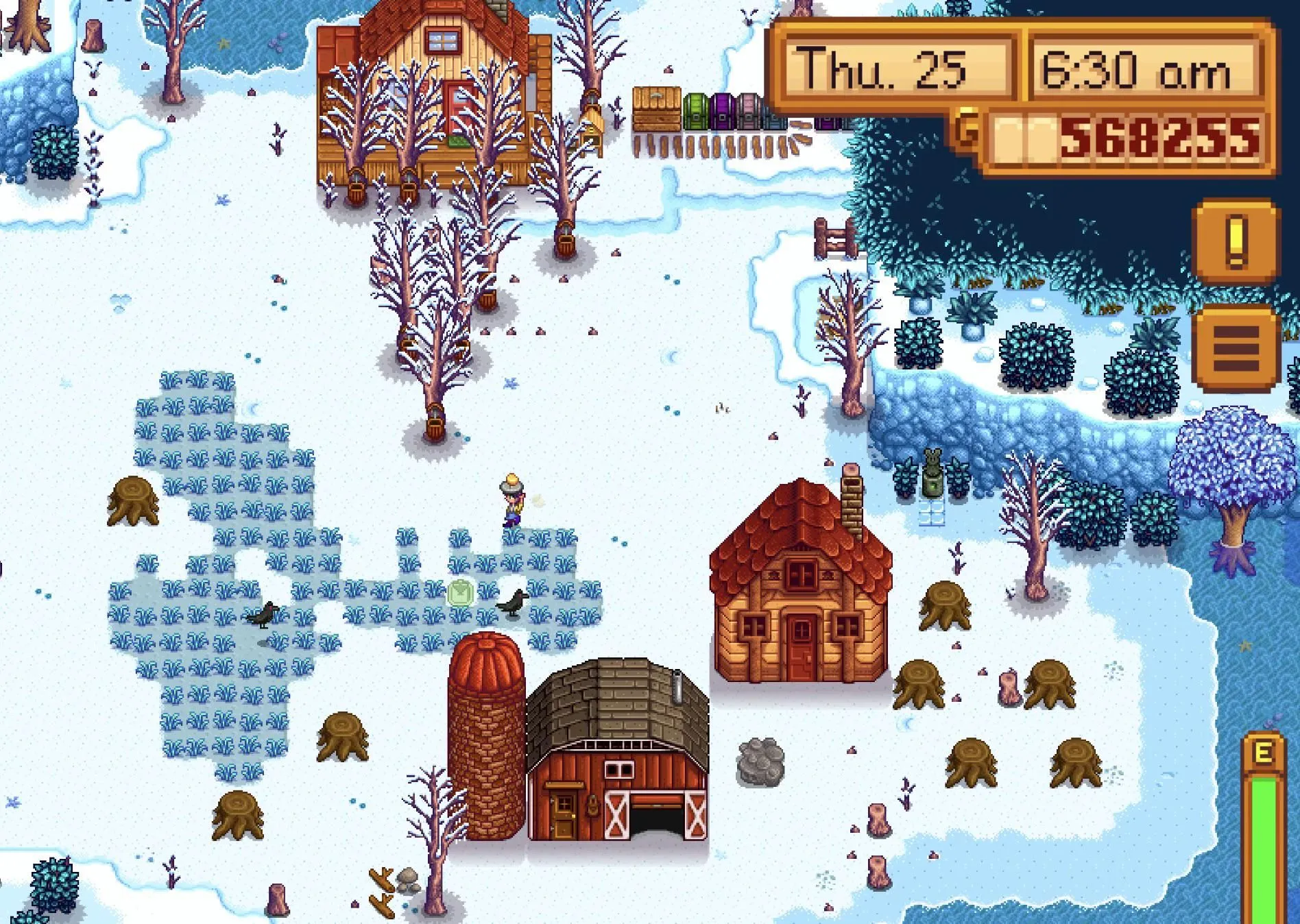 Stardew Valley Farm im Winter