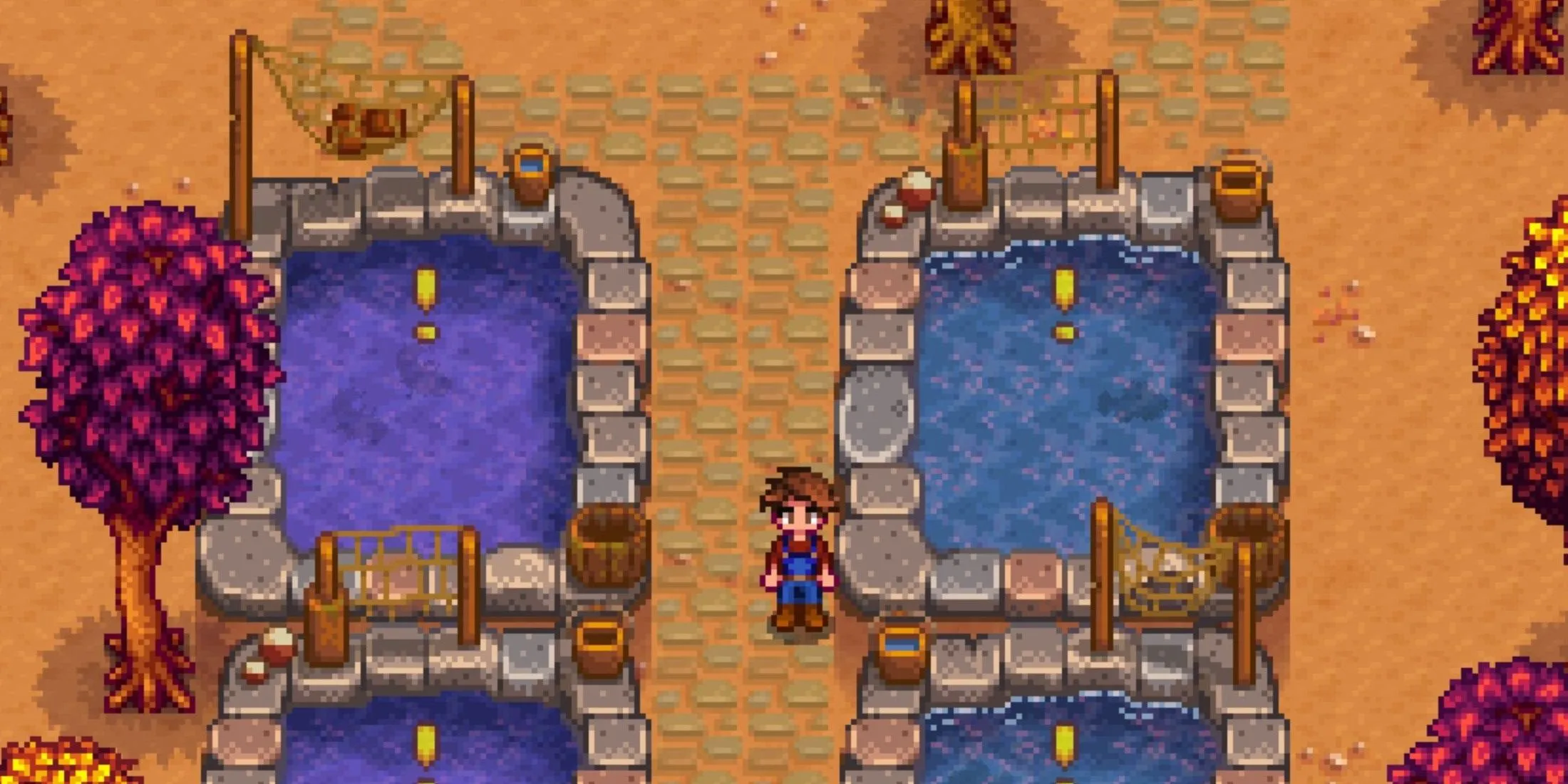 Les étangs à poissons de Stardew Valley