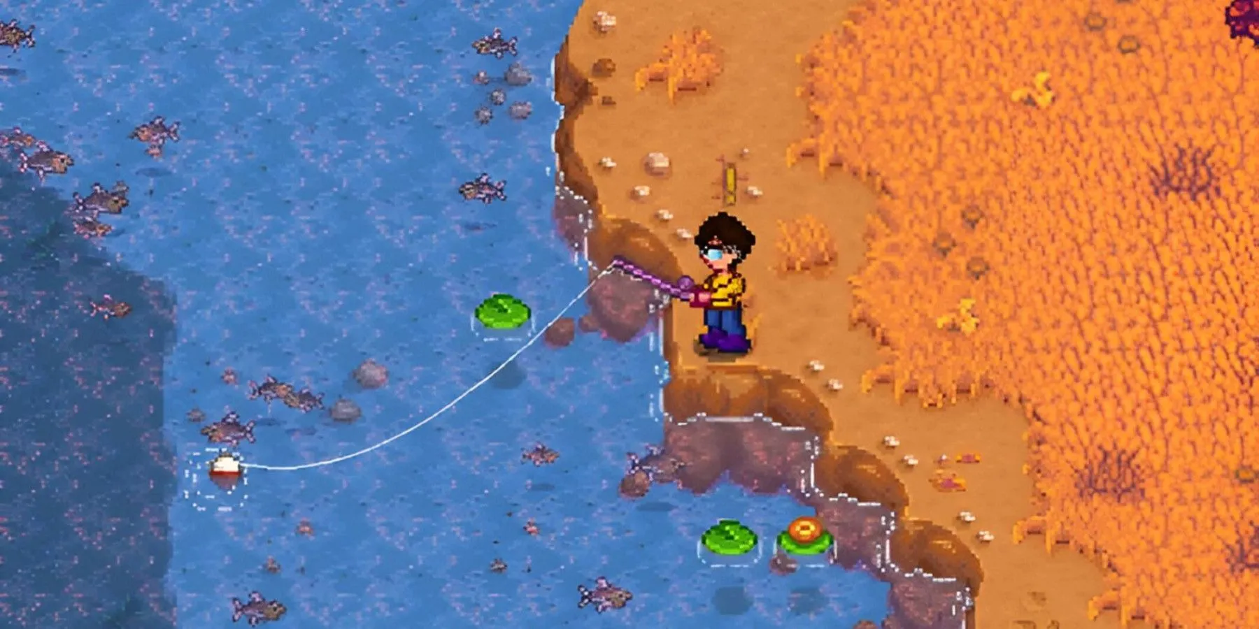 Attività frenetica di pesca nella Stardew Valley