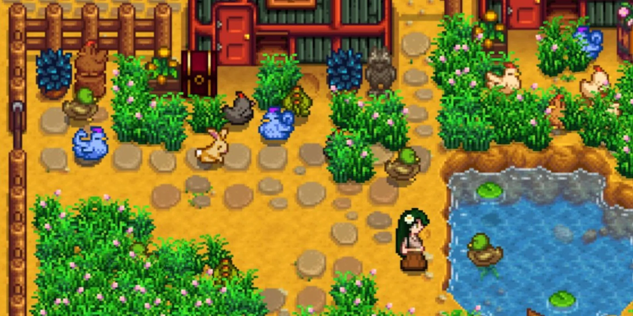 Anatra che nuota nella Stardew Valley