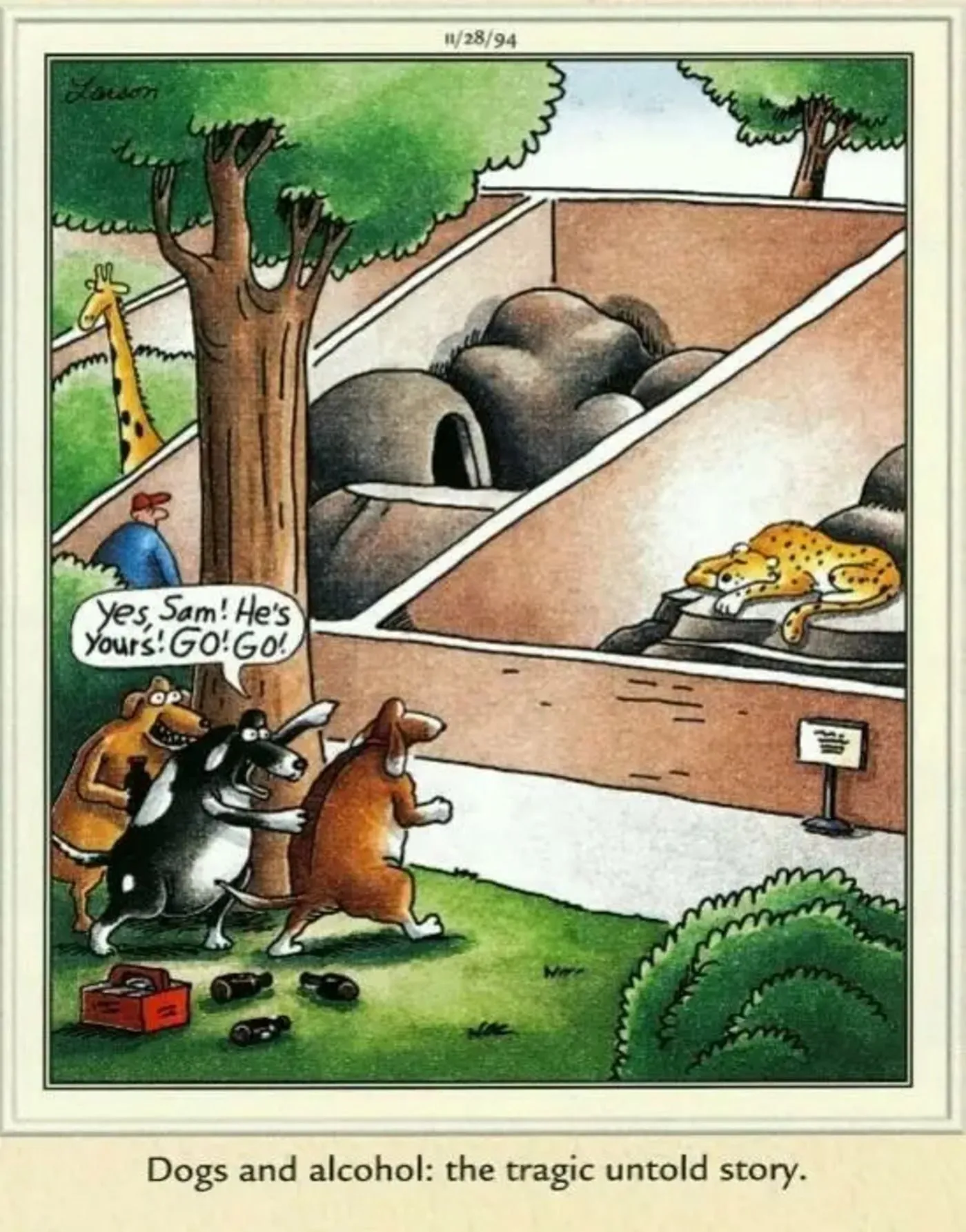 Far Side, 28 de novembro de 1994, cães bêbados invadindo o recinto de uma chita adormecida no zoológico.