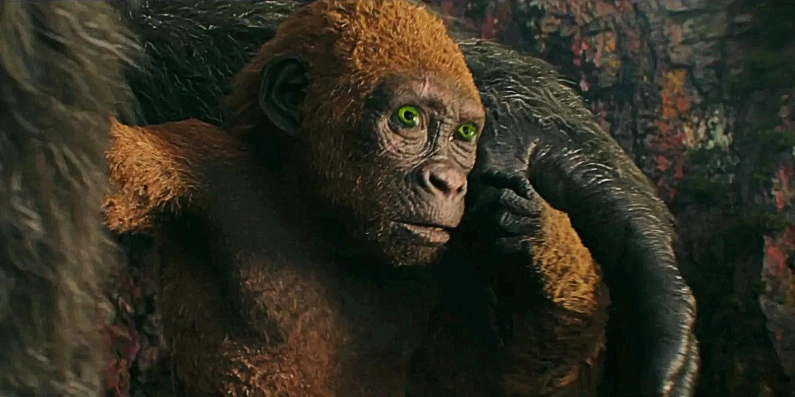 Suko tiene il pollice di Kong e sembra spaventata in Godzilla x Kong The New Empire