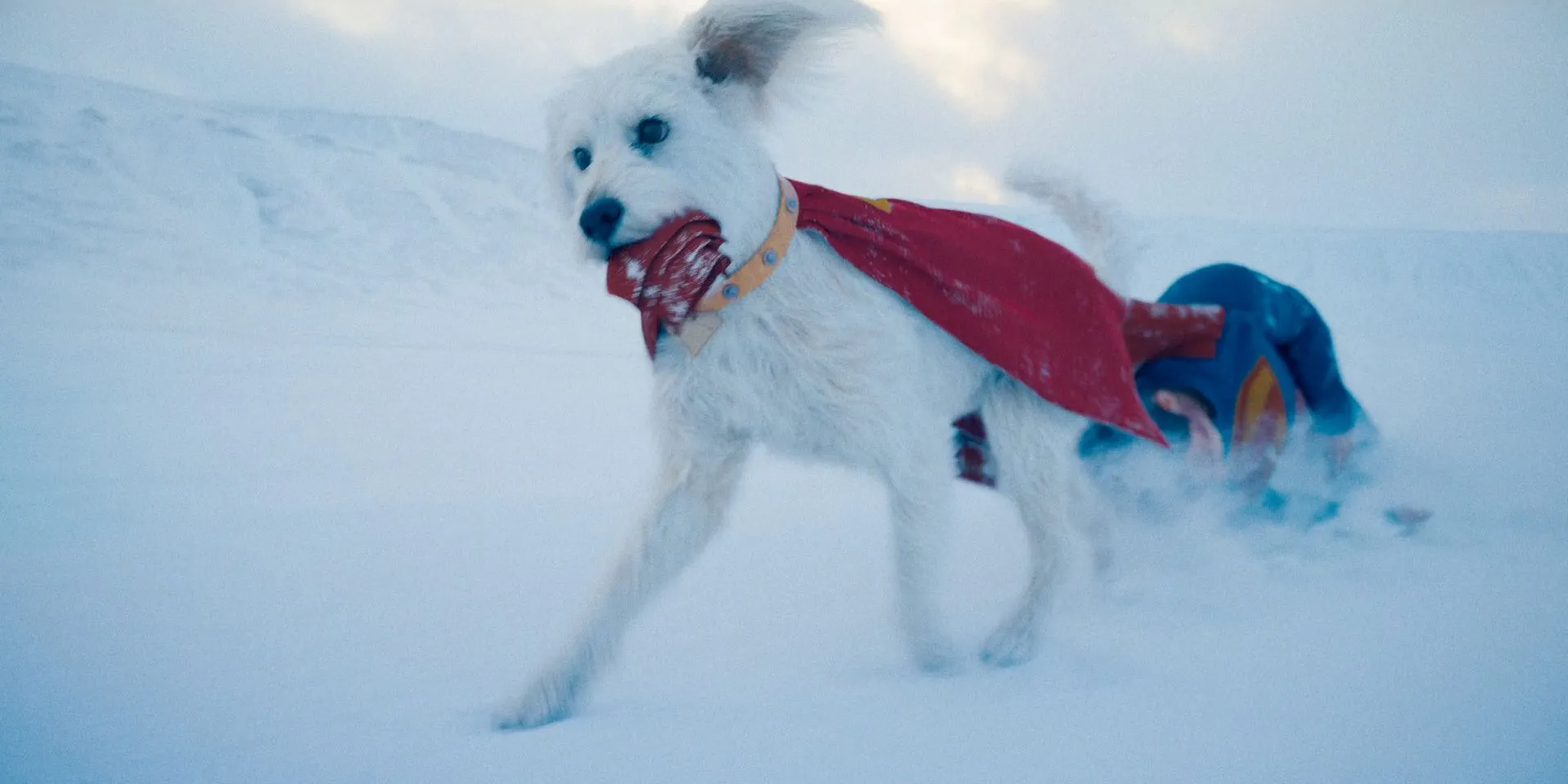 Krypto tira il mantello di Superman