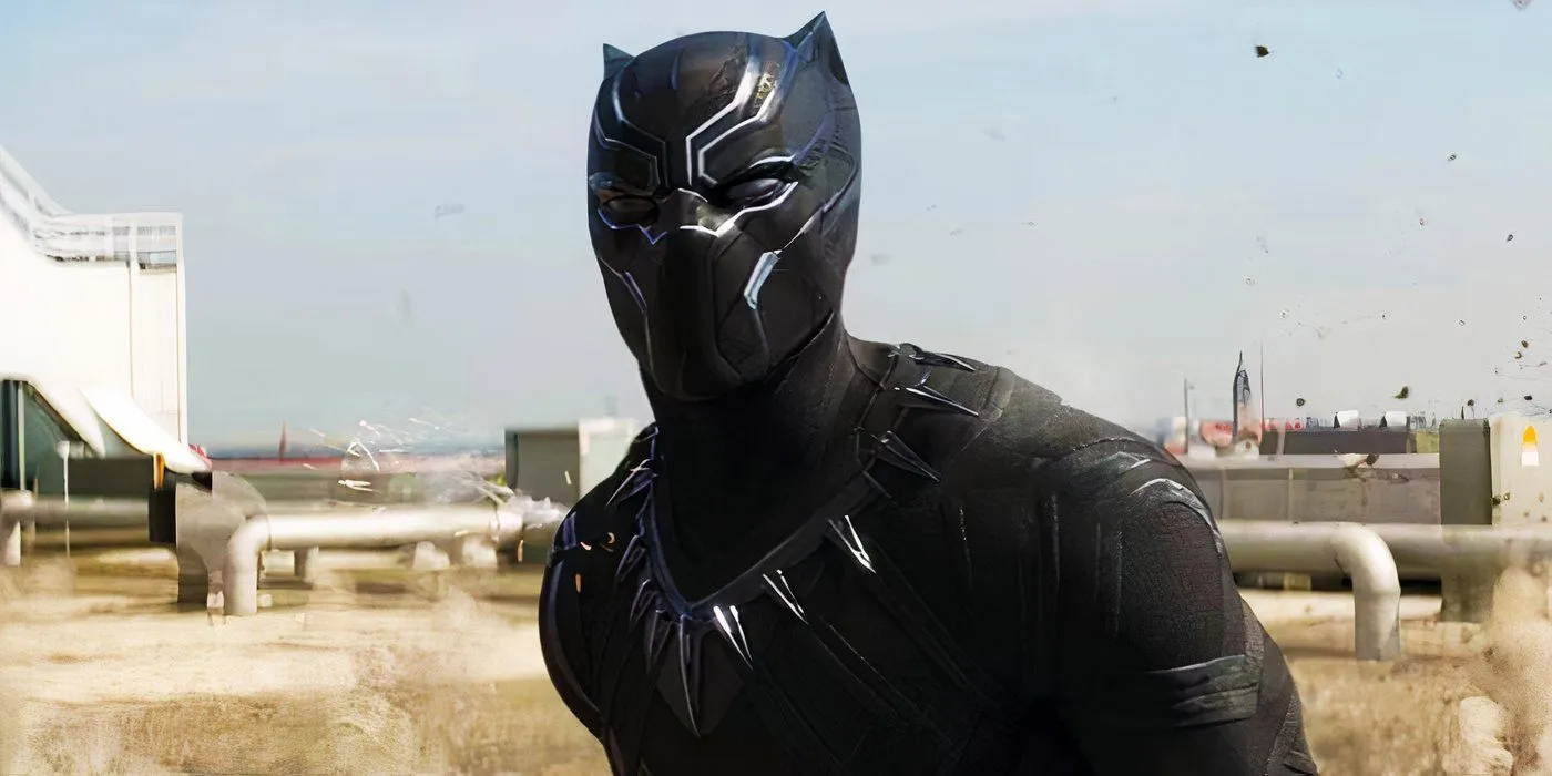 T'Challa kämpft