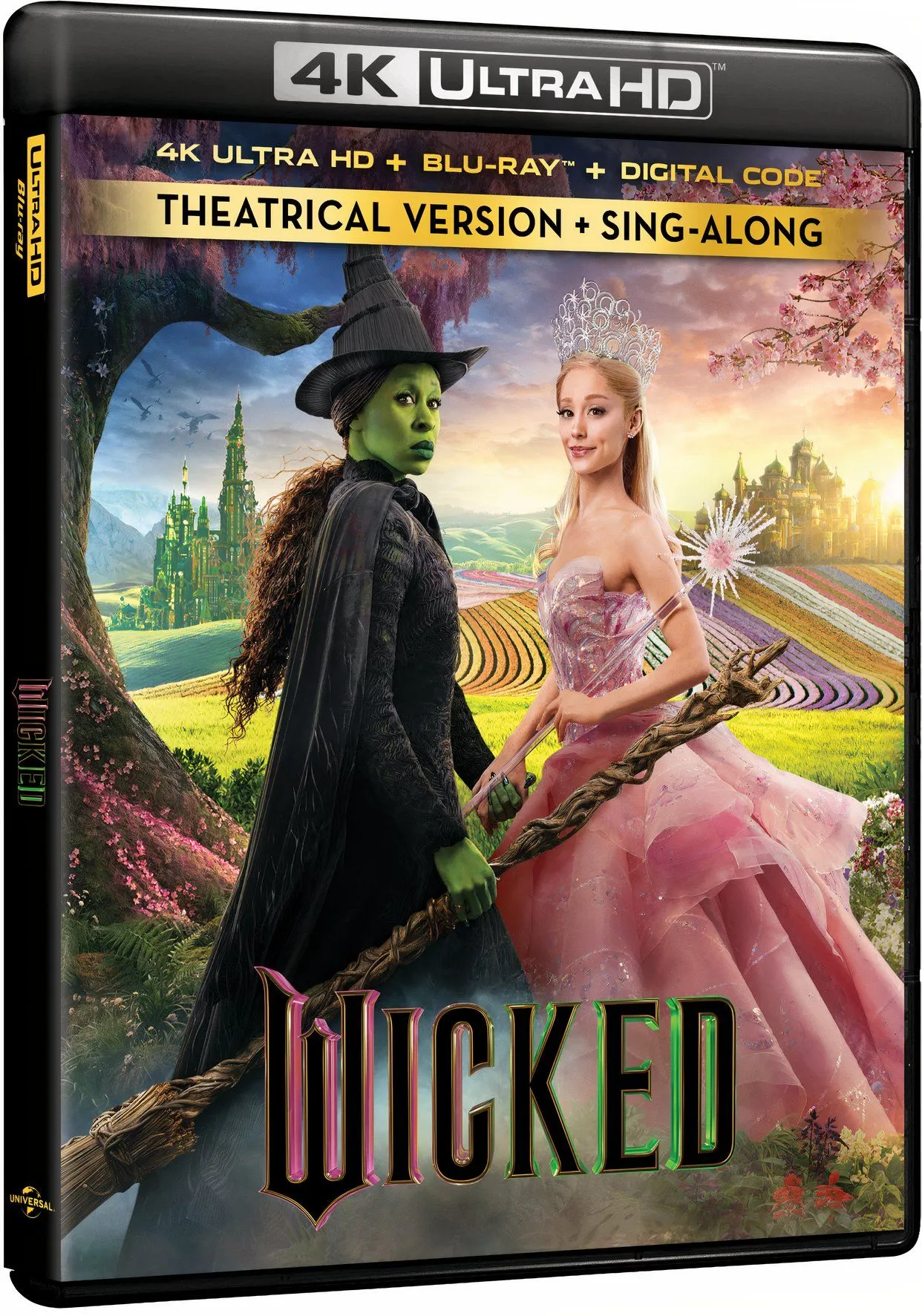 Capa Wicked 4K UHD