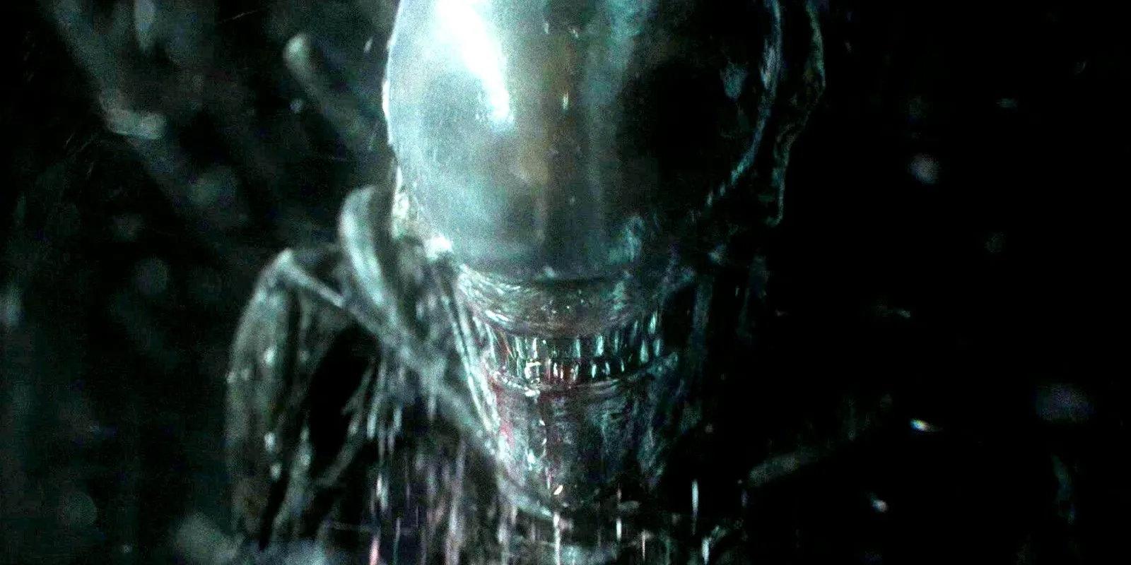 Xenomorfo em Alien: Covenant