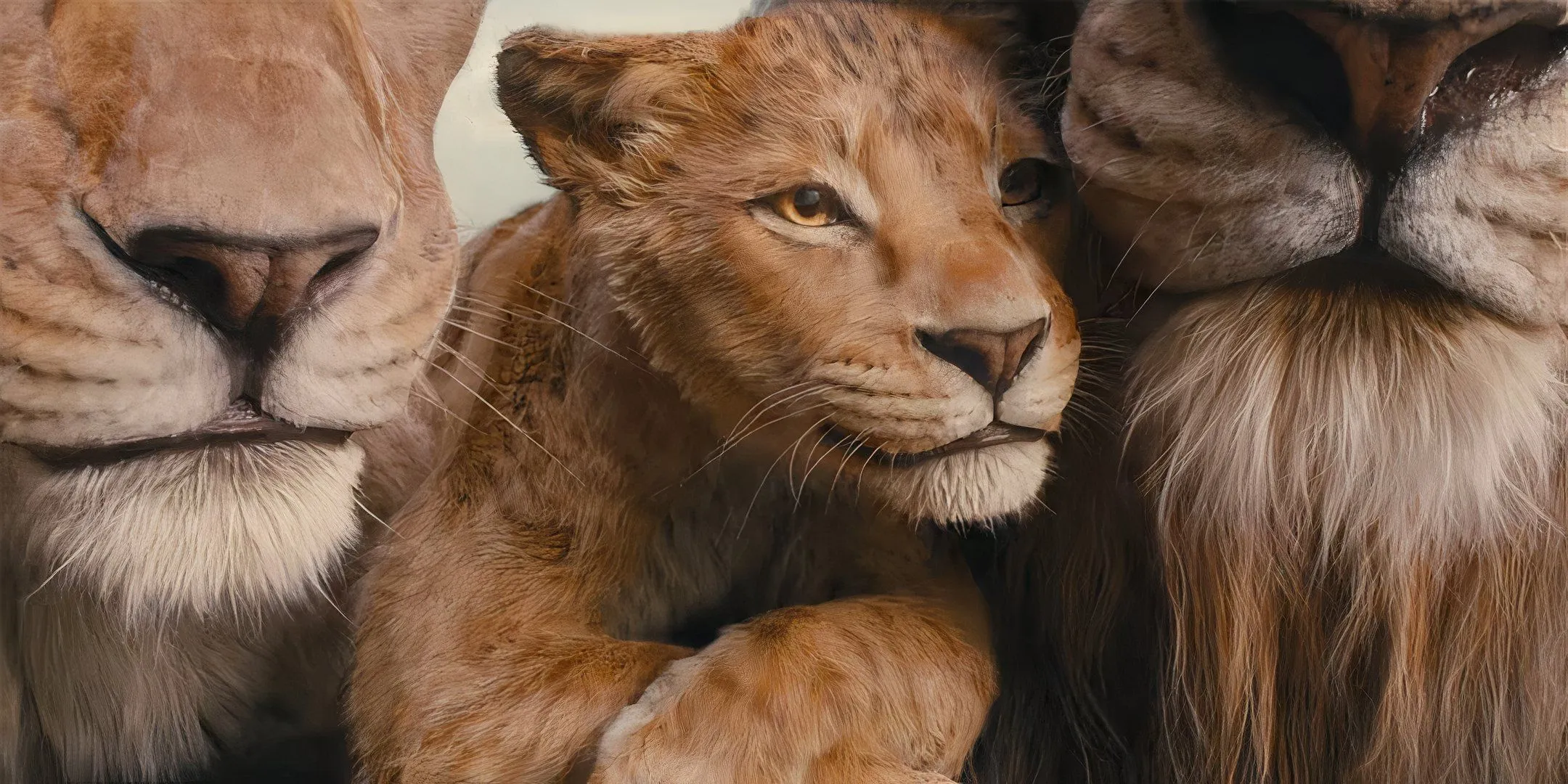 El joven Mufasa acurrucado entre leones mayores