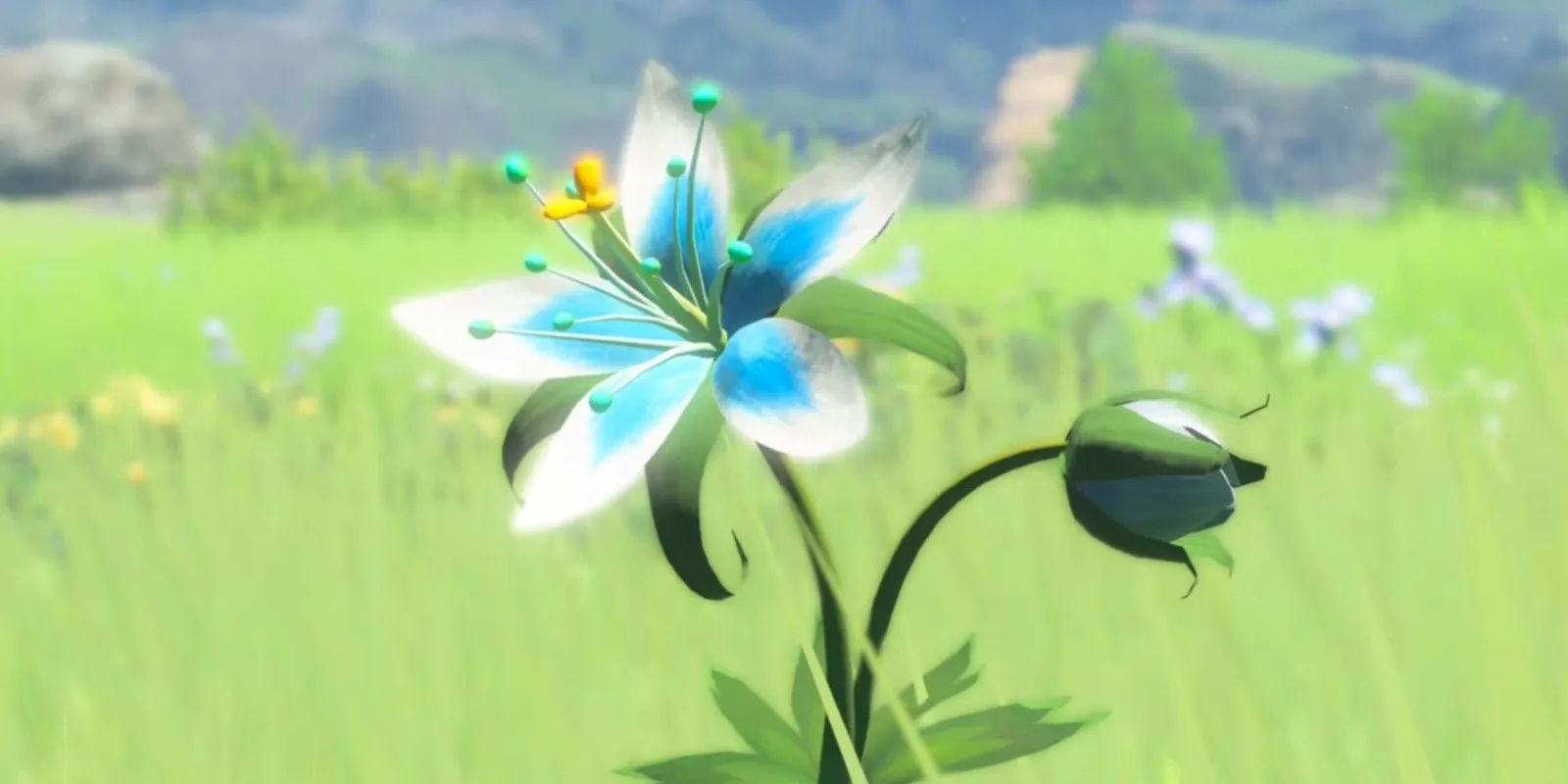 Une fleur de princesse silencieuse telle qu'on la voit dans The Legend of Zelda : Breath of the Wild.