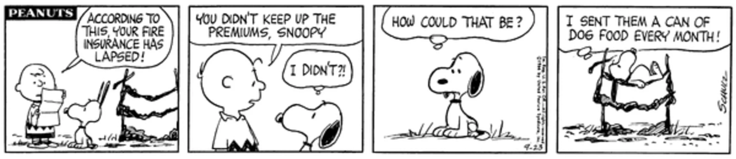 Pasek komiksowy Peanuts: Charlie Brown wyjaśnia Snoopy'emu, że ubezpieczenie od pożaru wygasło.