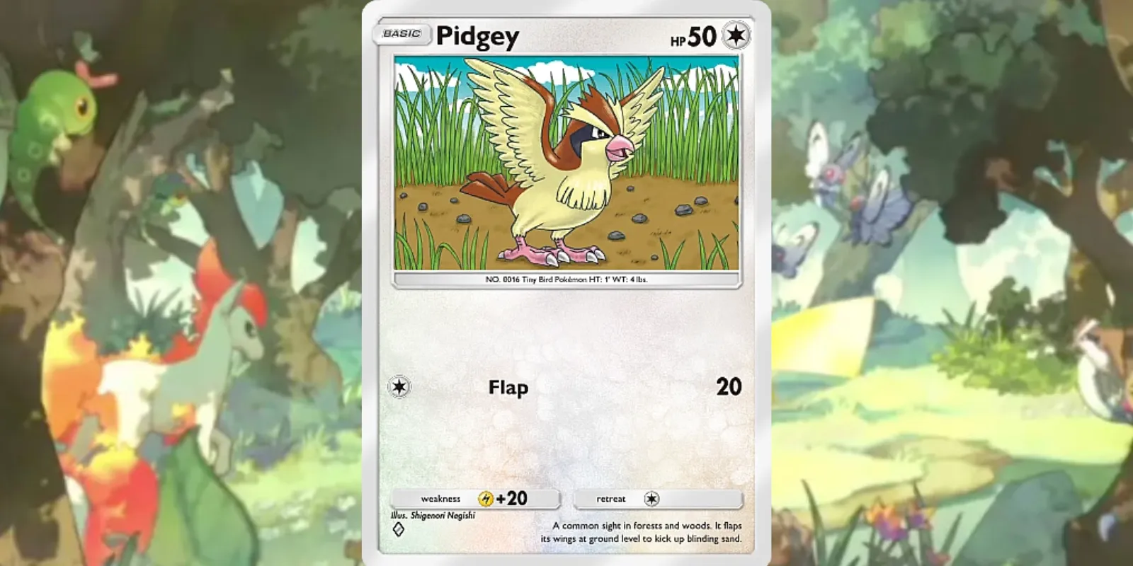 Tarjeta Pidgeot EX