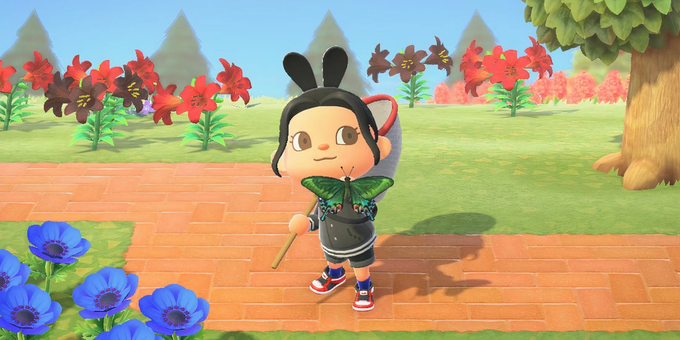 Bug Spawn in Animal Crossing: New Horizons