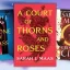 Una convincente teoría de Rhysand vincula Una corte de rosas y espinas con otra serie de Sarah J. Maas