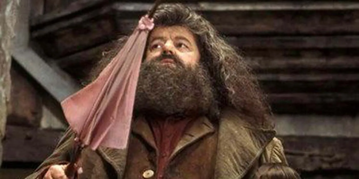 Varinha e guarda-chuva de Hagrid