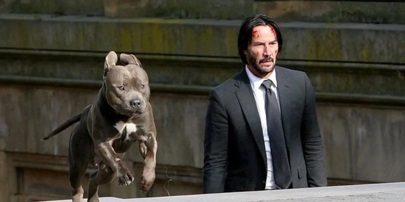 John Wick y su perro en el capítulo 2