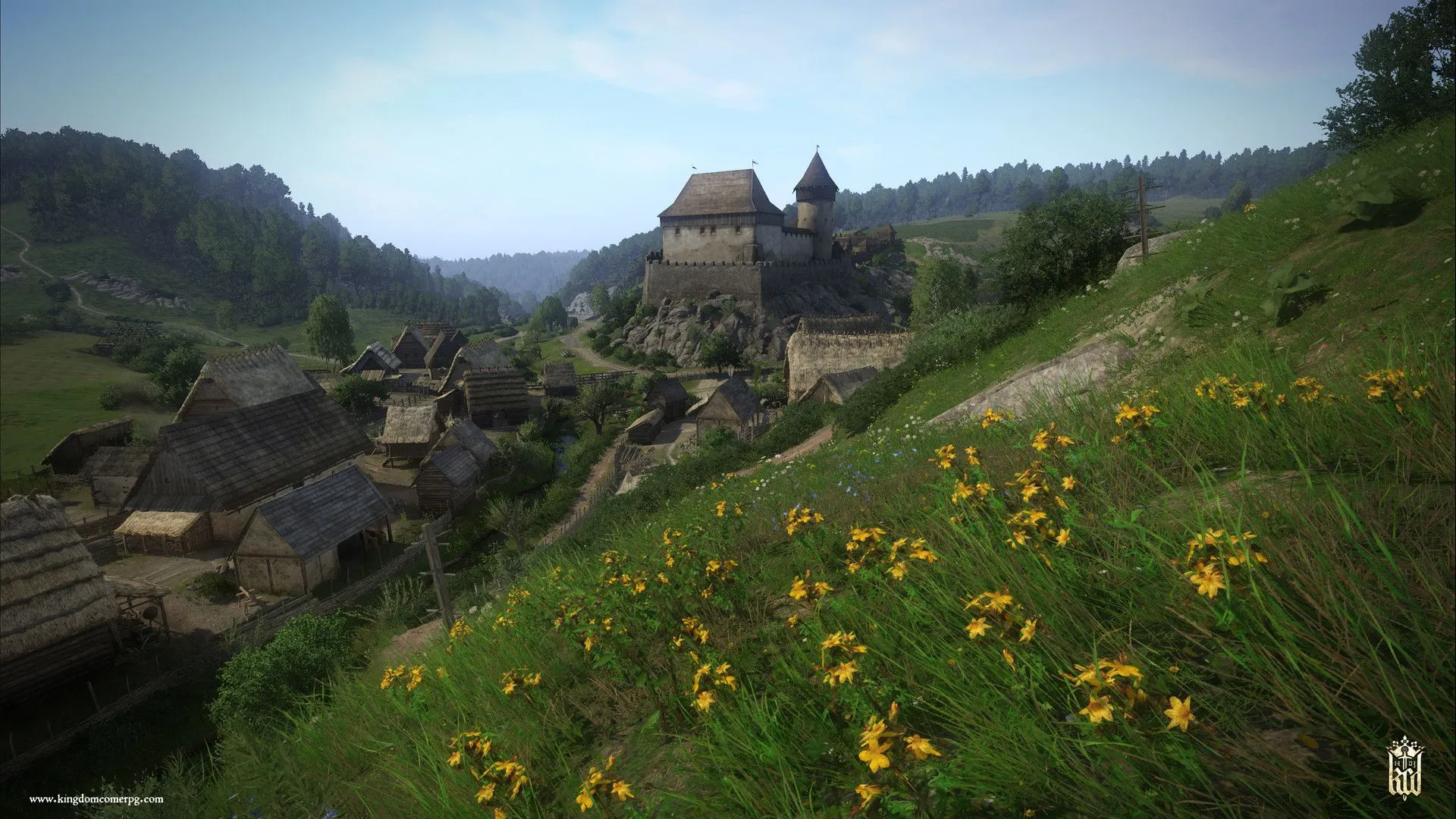 Field in Kingdom Come: Deliverance