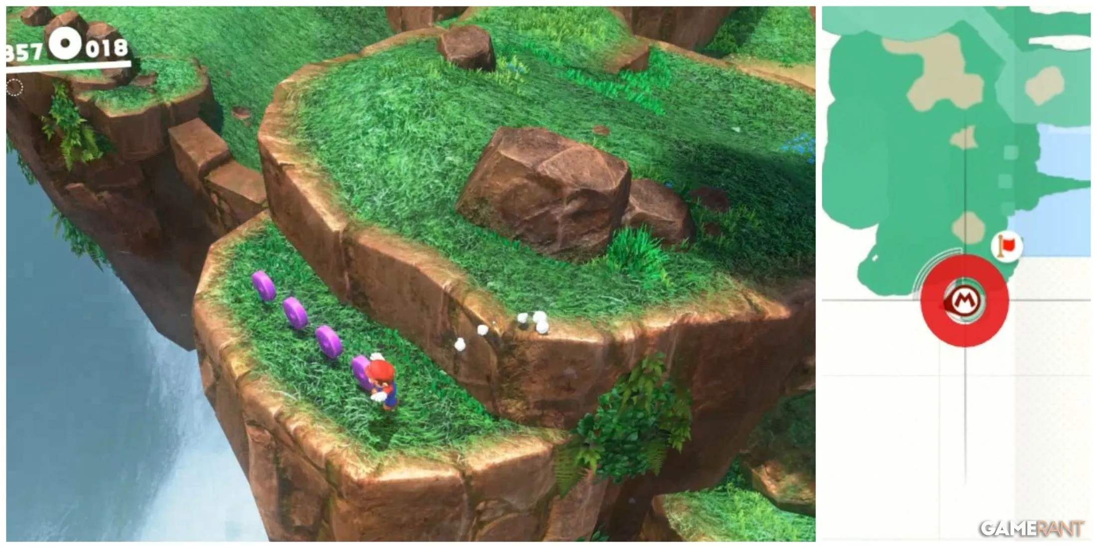 monete viola 19-22 cascade kingdom mario odyssey