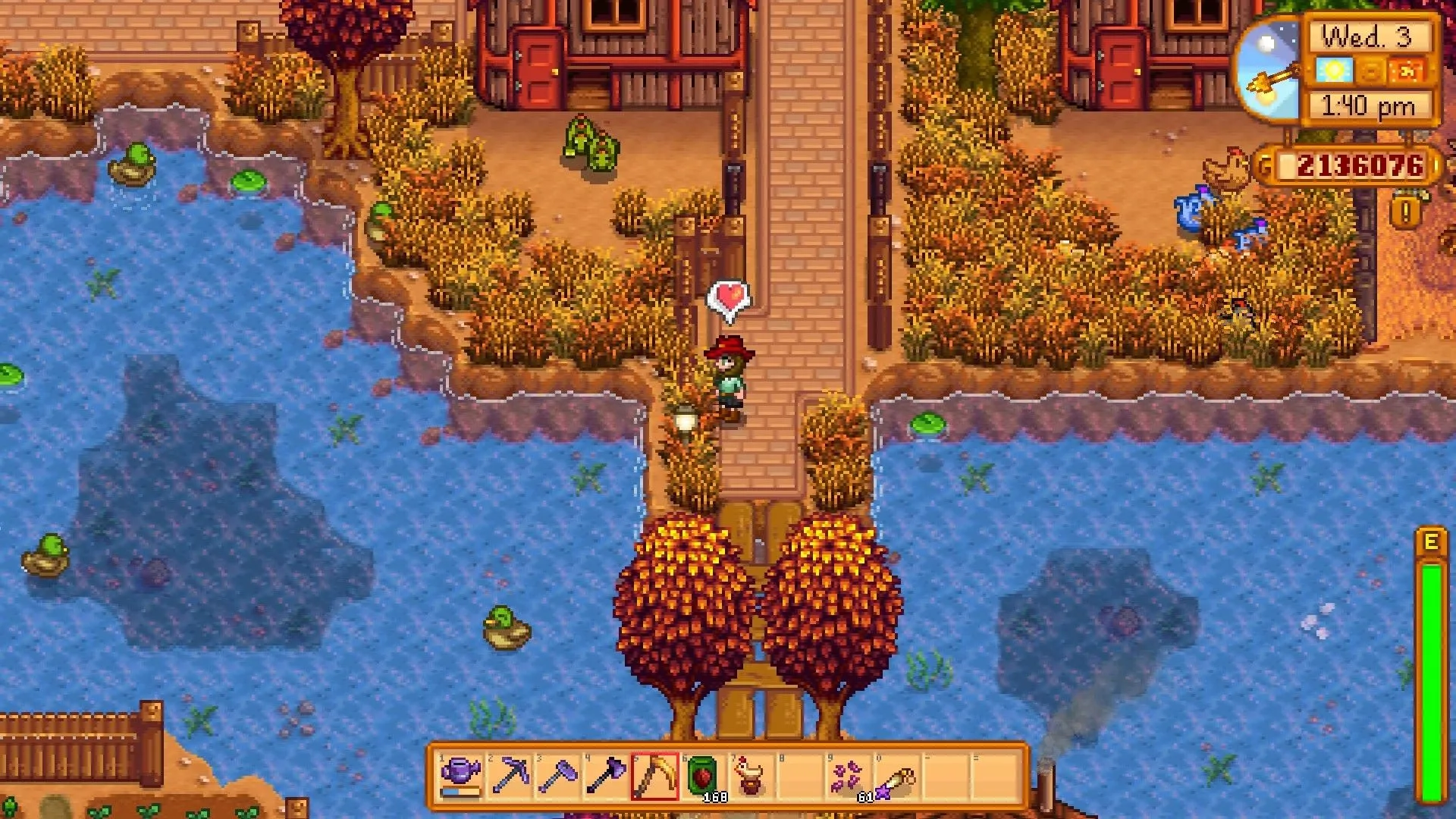 Un fermier de Stardew Valley regarde un canard nager dans un étang