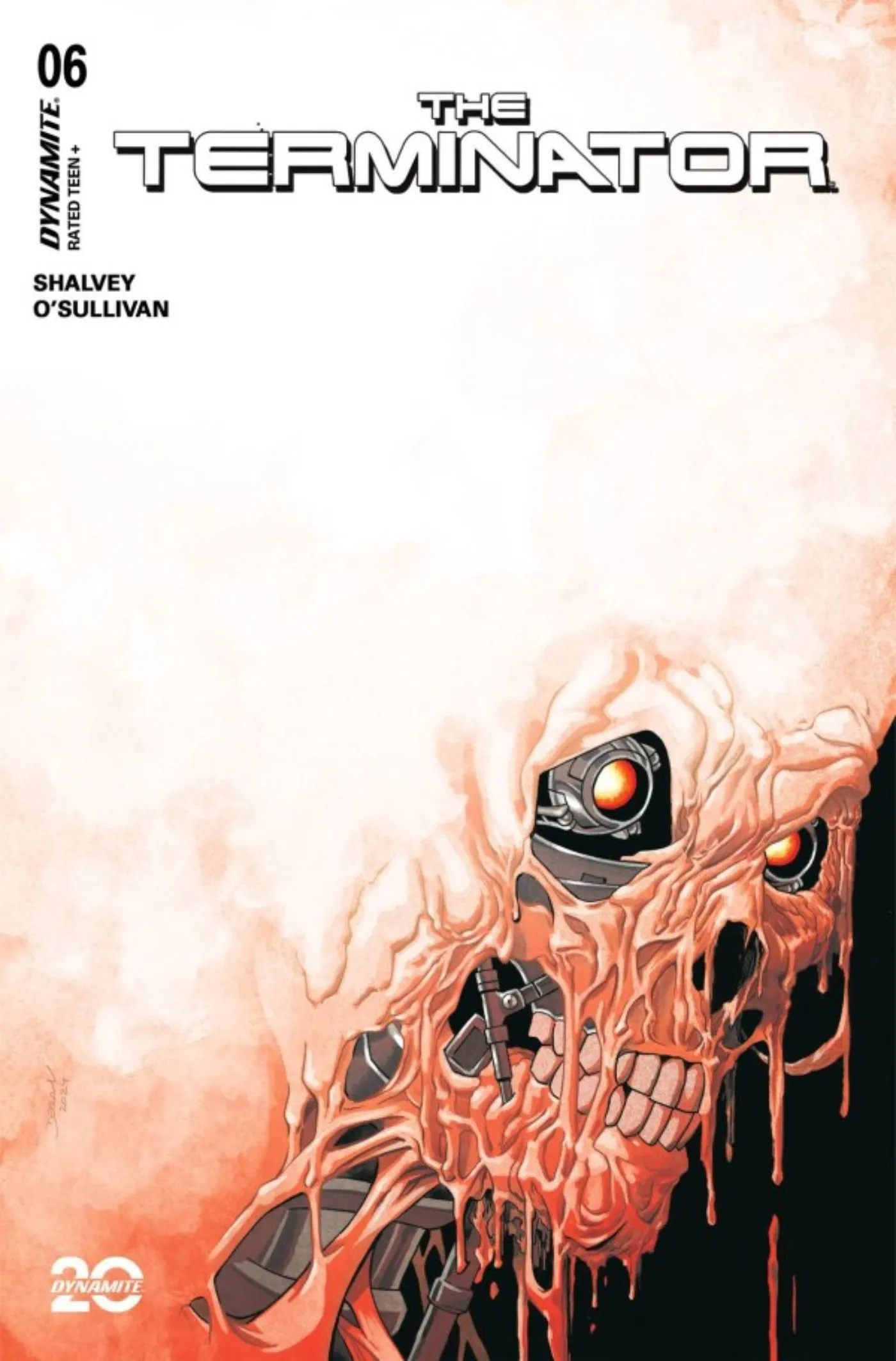 Main cover art for The Terminator #6