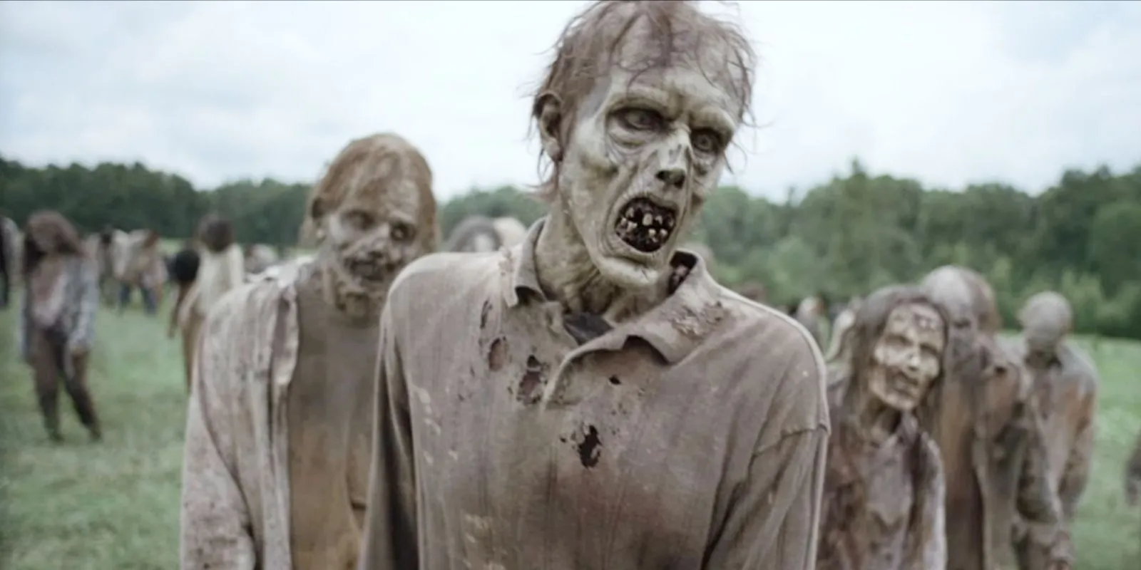 The Walking Dead a large group of walkers in a field The Walking Dead a large group of walkers in a field
