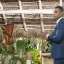 Grant Ellis elige a su campeón en la incierta final de «The Bachelor» — Además, las estrellas de «Golden» parten hacia «Paradise»