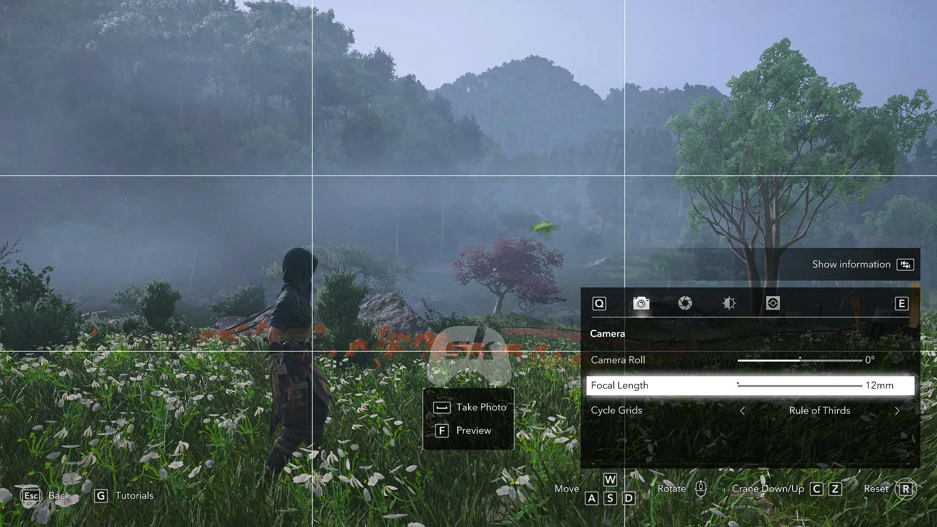 Numerous features are accessible in the photo mode