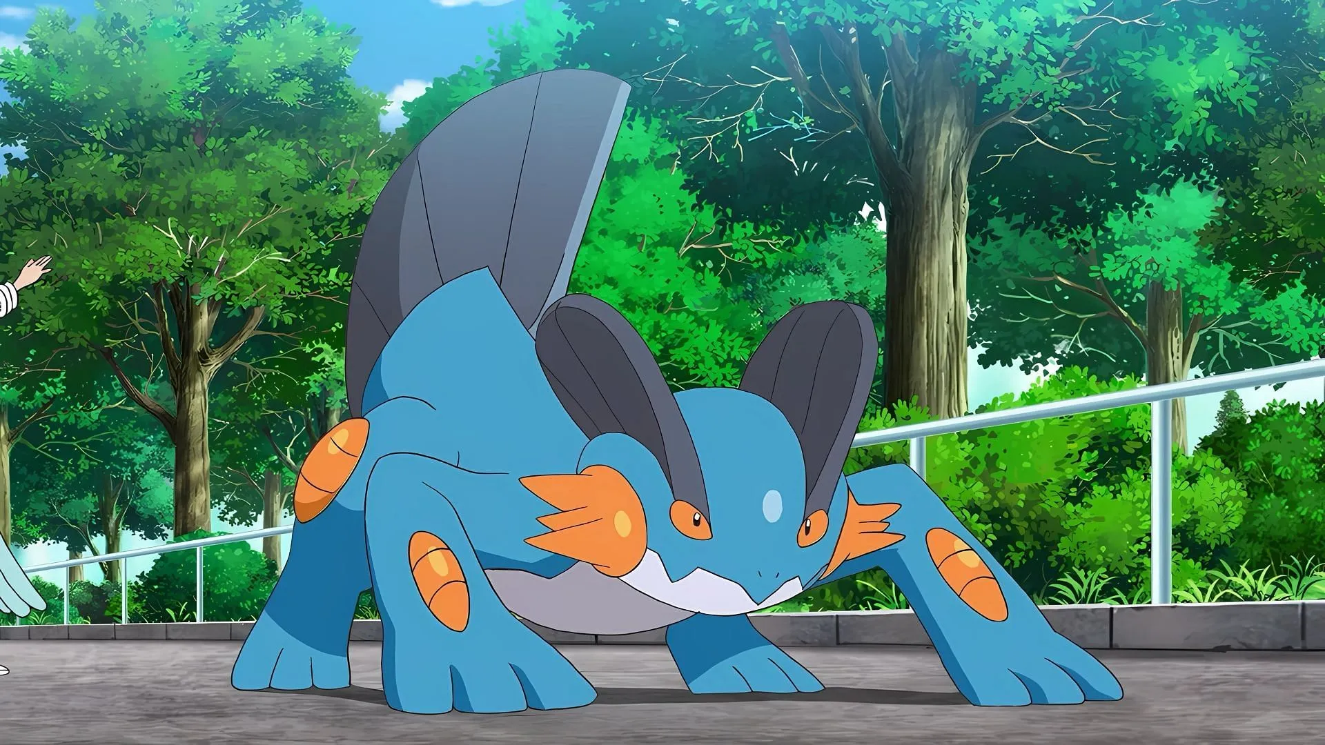 Swampert in the show (Image via TPC)