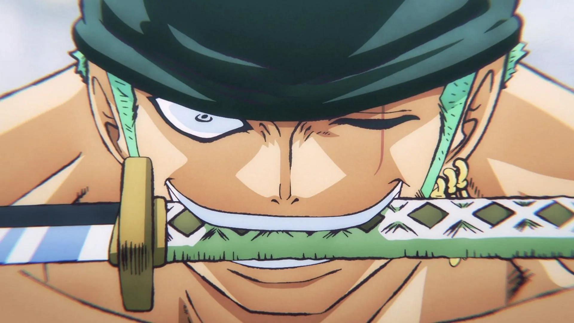 Zoro in the One Piece anime (Image via Toei Animation)