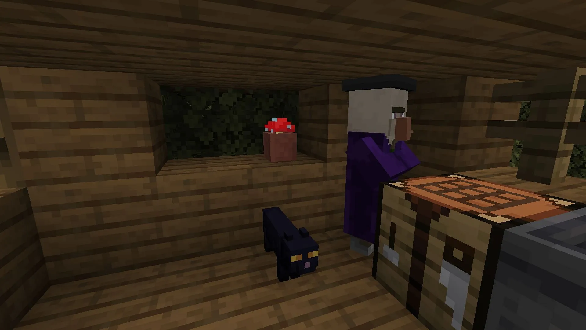A sweet home of a witch and its black cat (Image via Mojang & Sportskeeda Gaming)
