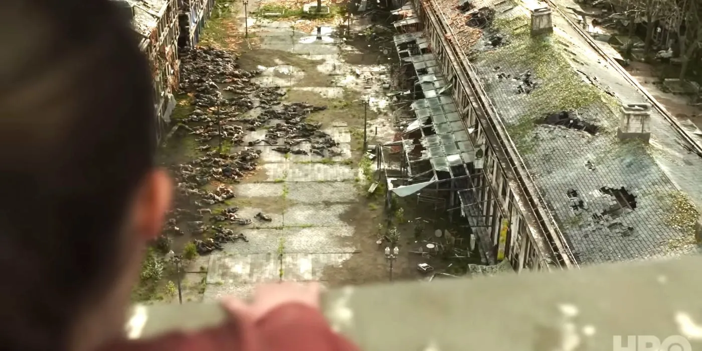 Ellie surveying the environment