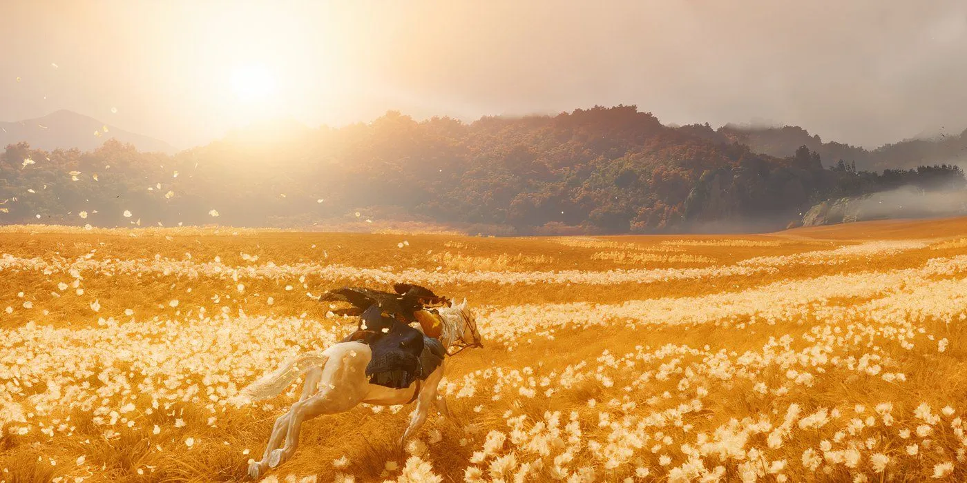 Golden Horse Field in Ghost of Yotei