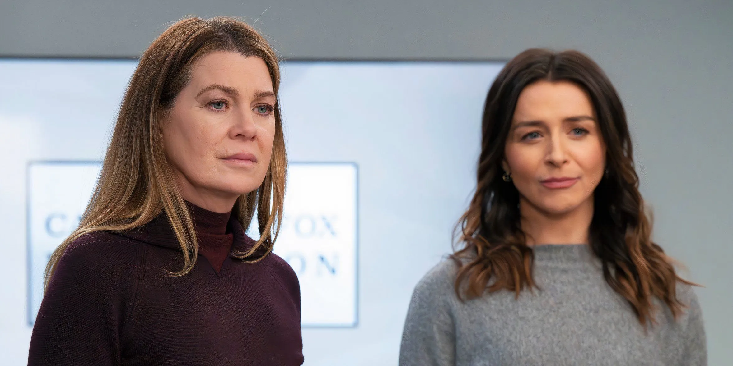 Meredith and Amelia in Grey's Anatomy