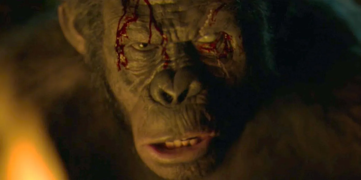 Koba with scars and fury in Dawn of the Planet of the Apes Koba with scars and fury in Dawn of the Planet of the Apes