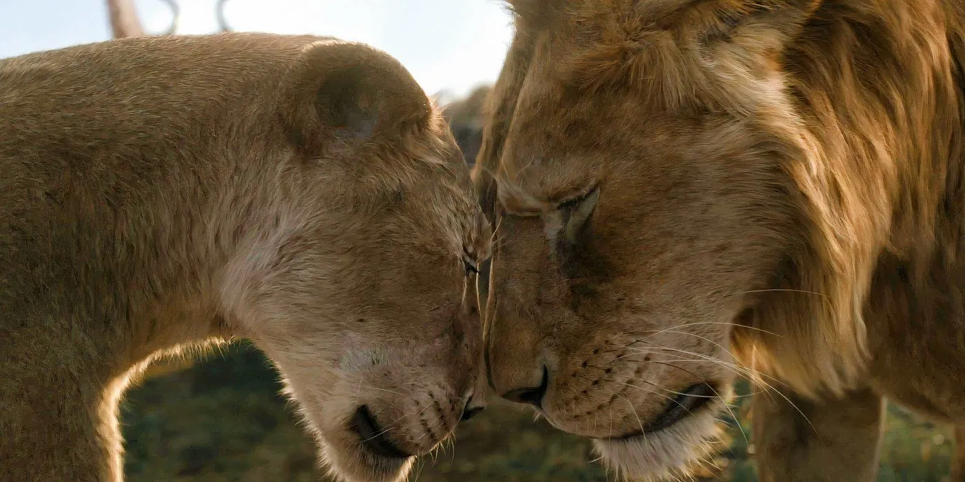 Mufasa e Afia condividono un momento tenero in Mufasa: Il Re Leone (2024)