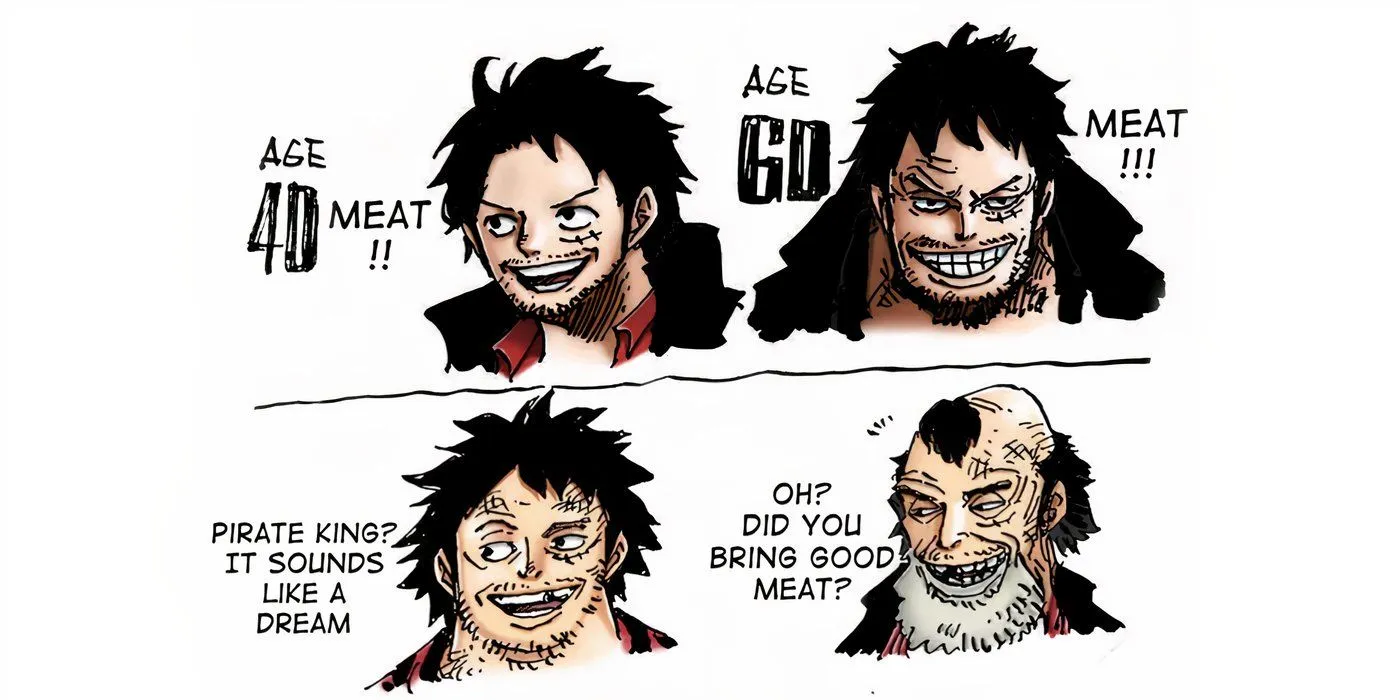 One Piece Luffy Future Appearance