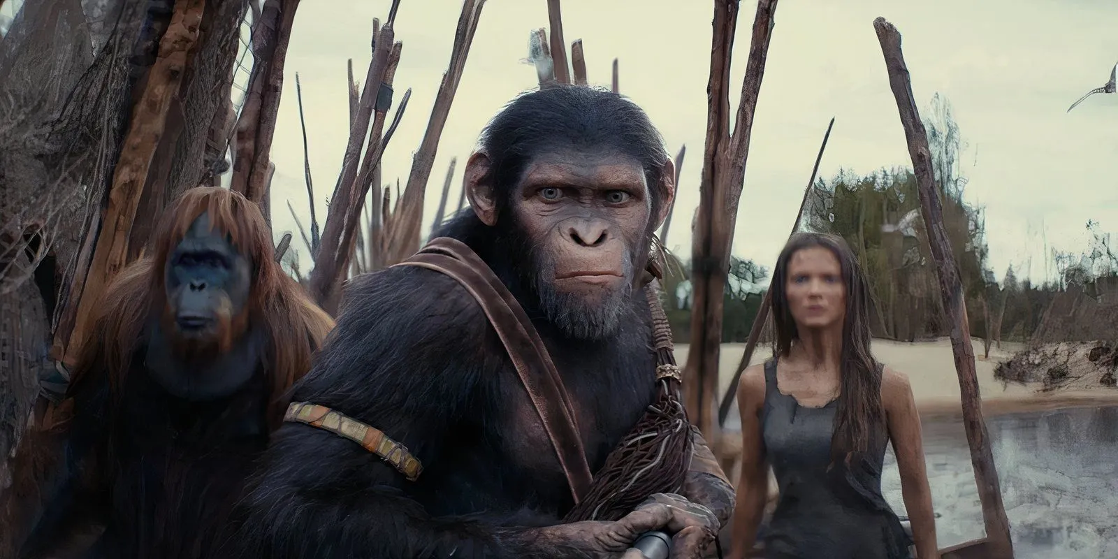 Key cast members from Kingdom of the Planet of the Apes Key cast members from Kingdom of the Planet of the Apes