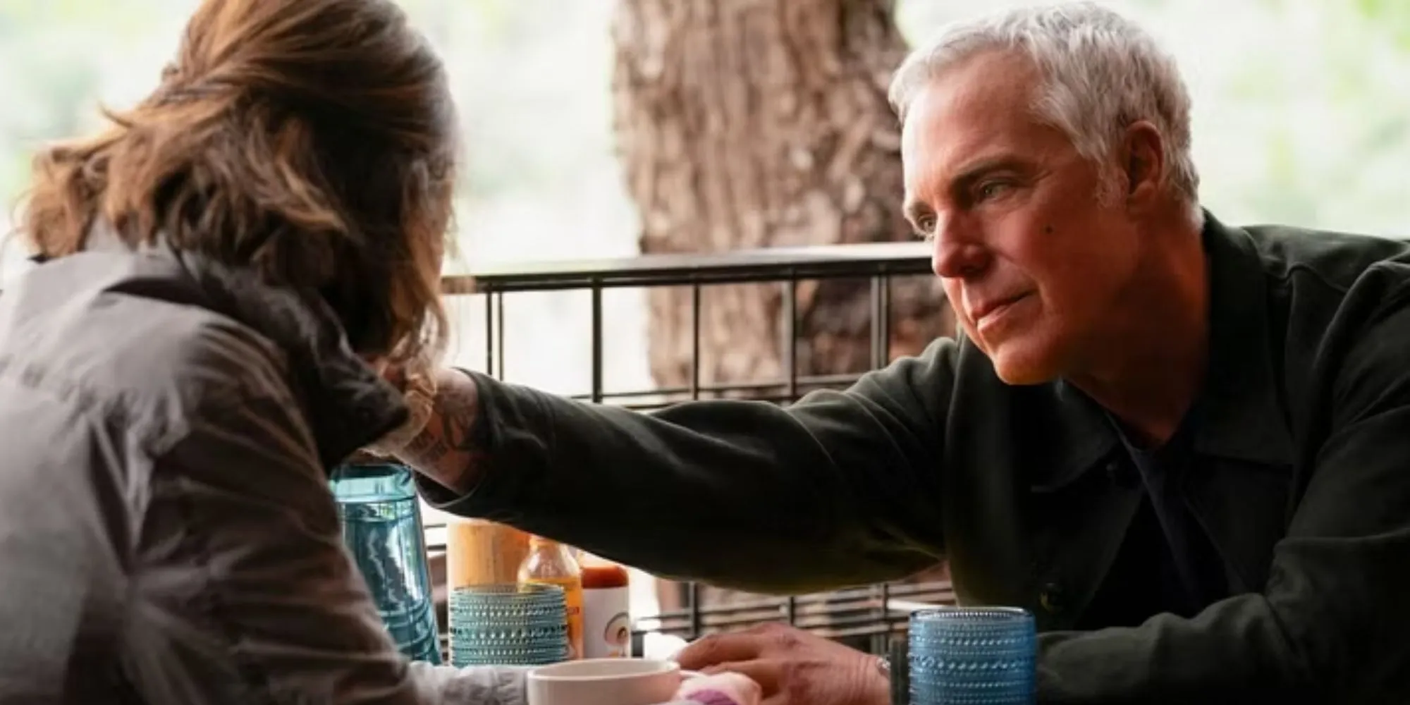 bosch and new victim season 3
