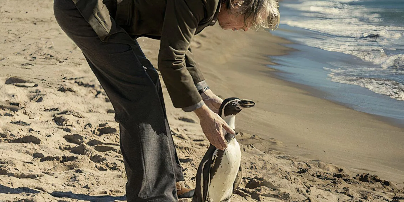 Steve Coogan as Tom Michell in The Penguin Lessons