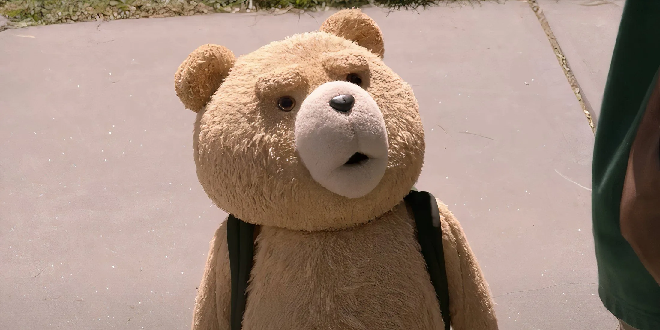 Ted looking up at John in Ted Ted looking up at John in Ted