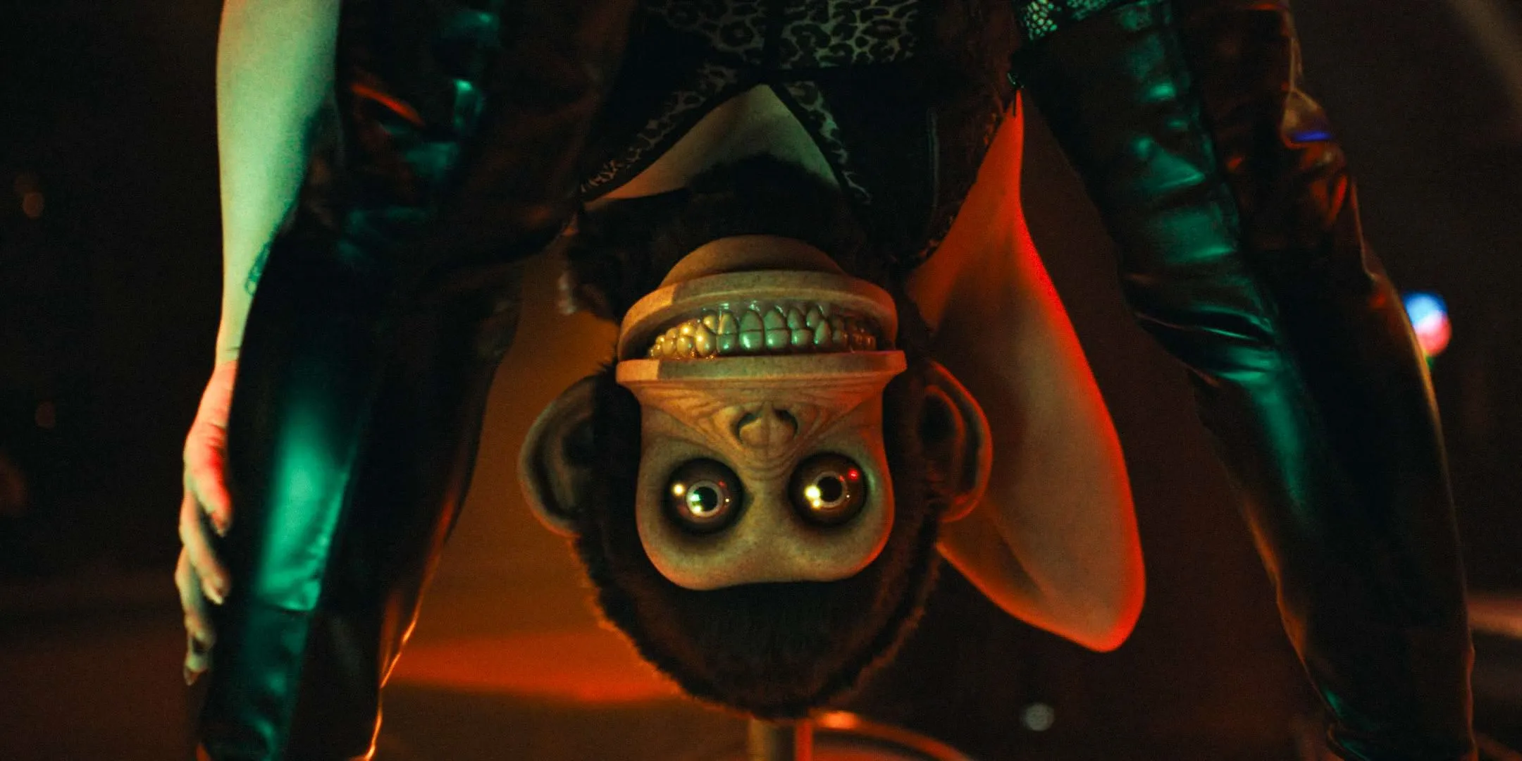 The Monkey Toy