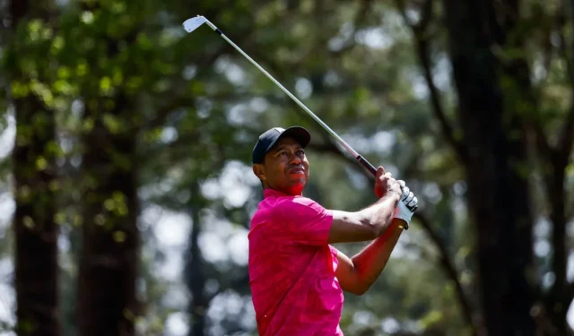 Amazon MGM Studios desenvolve cinebiografia de Tiger Woods