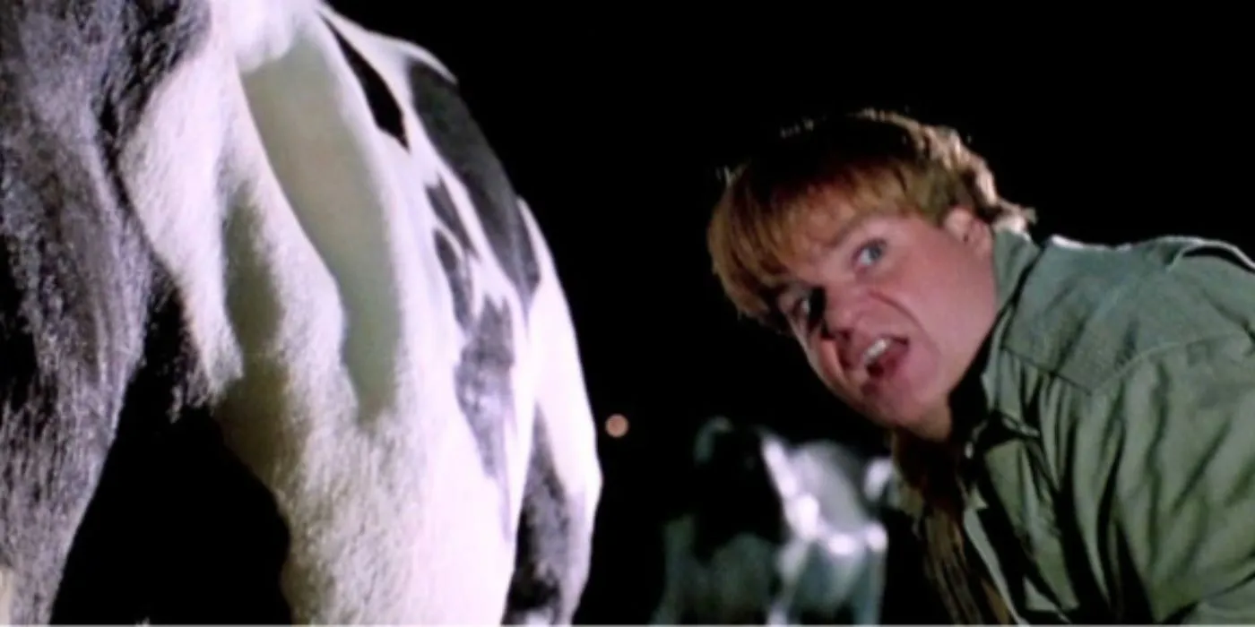 Tommy Boy with a Cow Tommy Boy with a Cow
