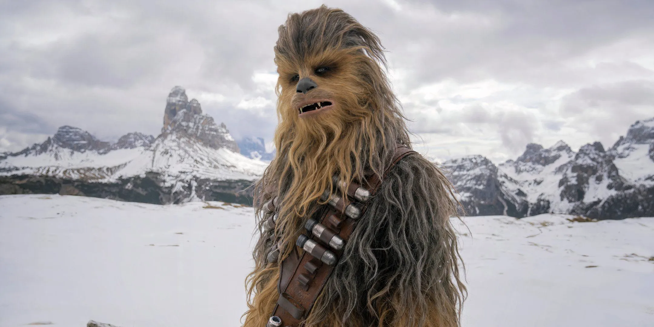 Chewbacca looking confused in Solo: A Star Wars Story Chewbacca looking confused in Solo: A Star Wars Story