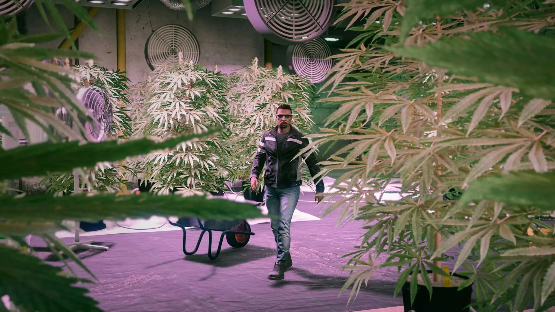 Weed Farms are on a discount and offering bonus money this week