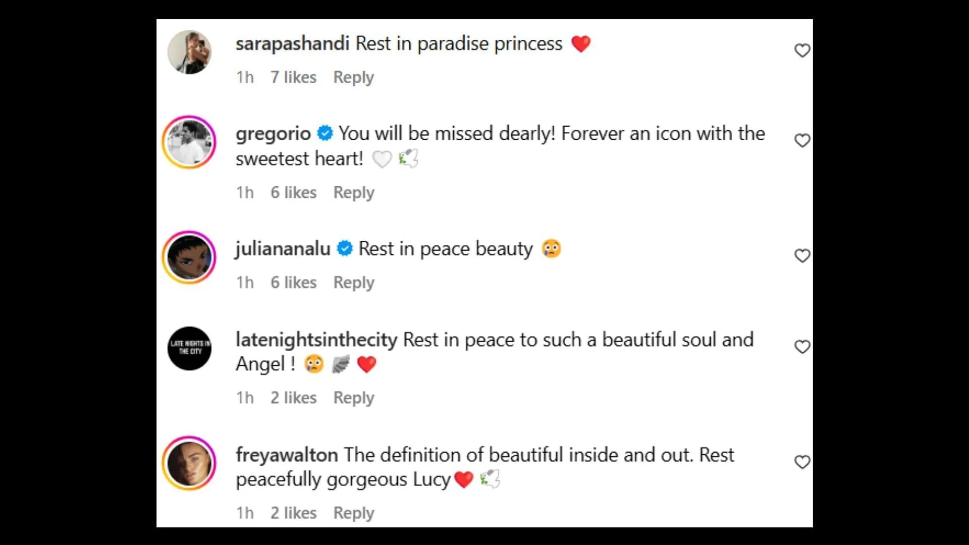 Online tributes (Image via Instagram/lucymarkovicc)