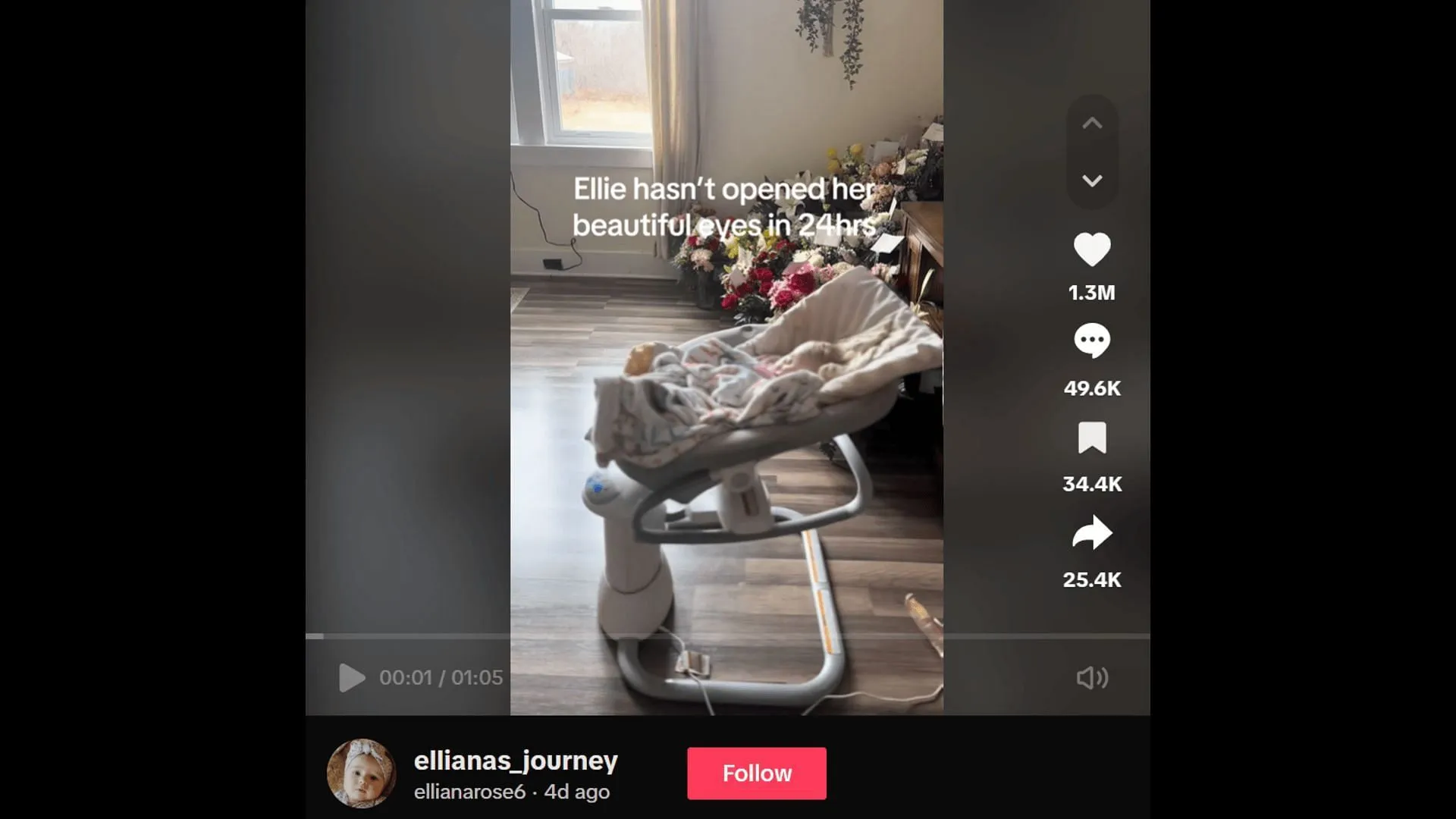 Hannah Campbell's last post on TikTok before Ellie's demise. (Image via TikTok)