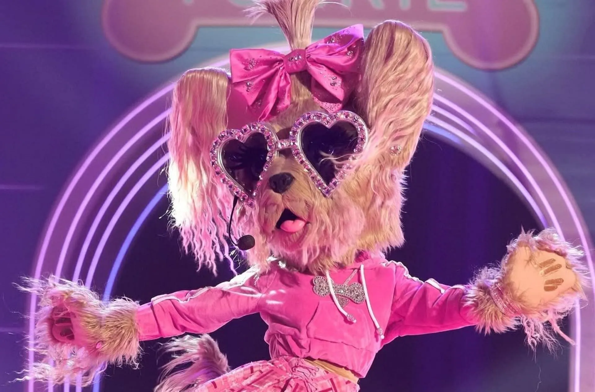 Yorkie from The Masked Singer season 13 Yorkie from The Masked Singer season 13