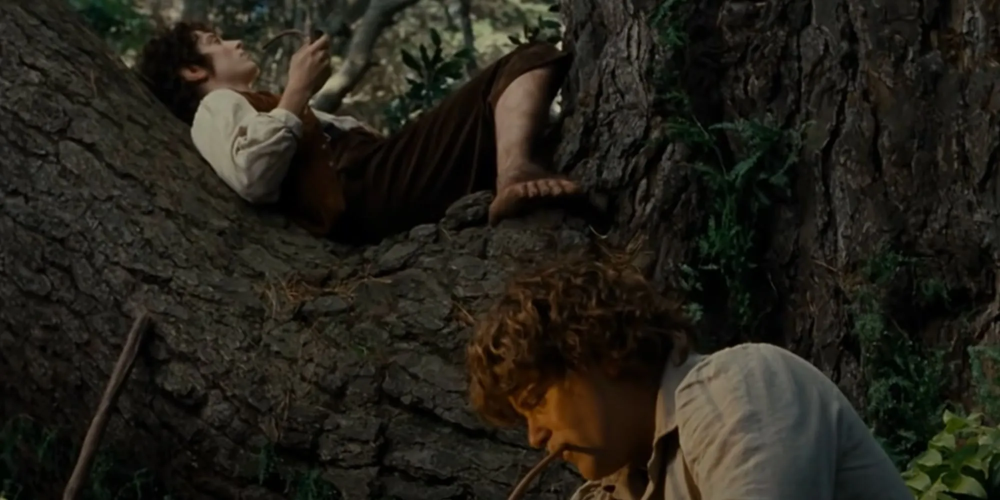 Sam and Frodo on their journey