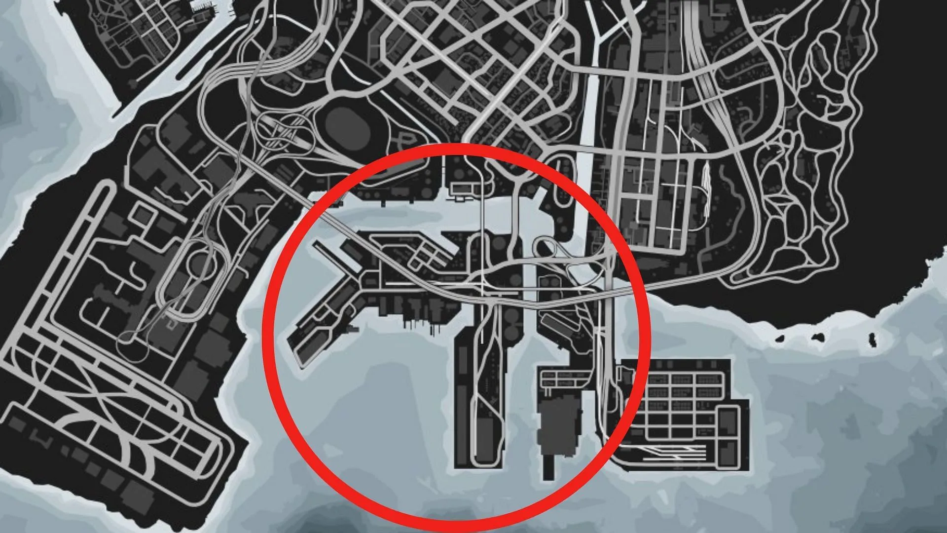 GTA Online animal locations: Seagull (Image via Rockstar Games || gtaweb.eu)