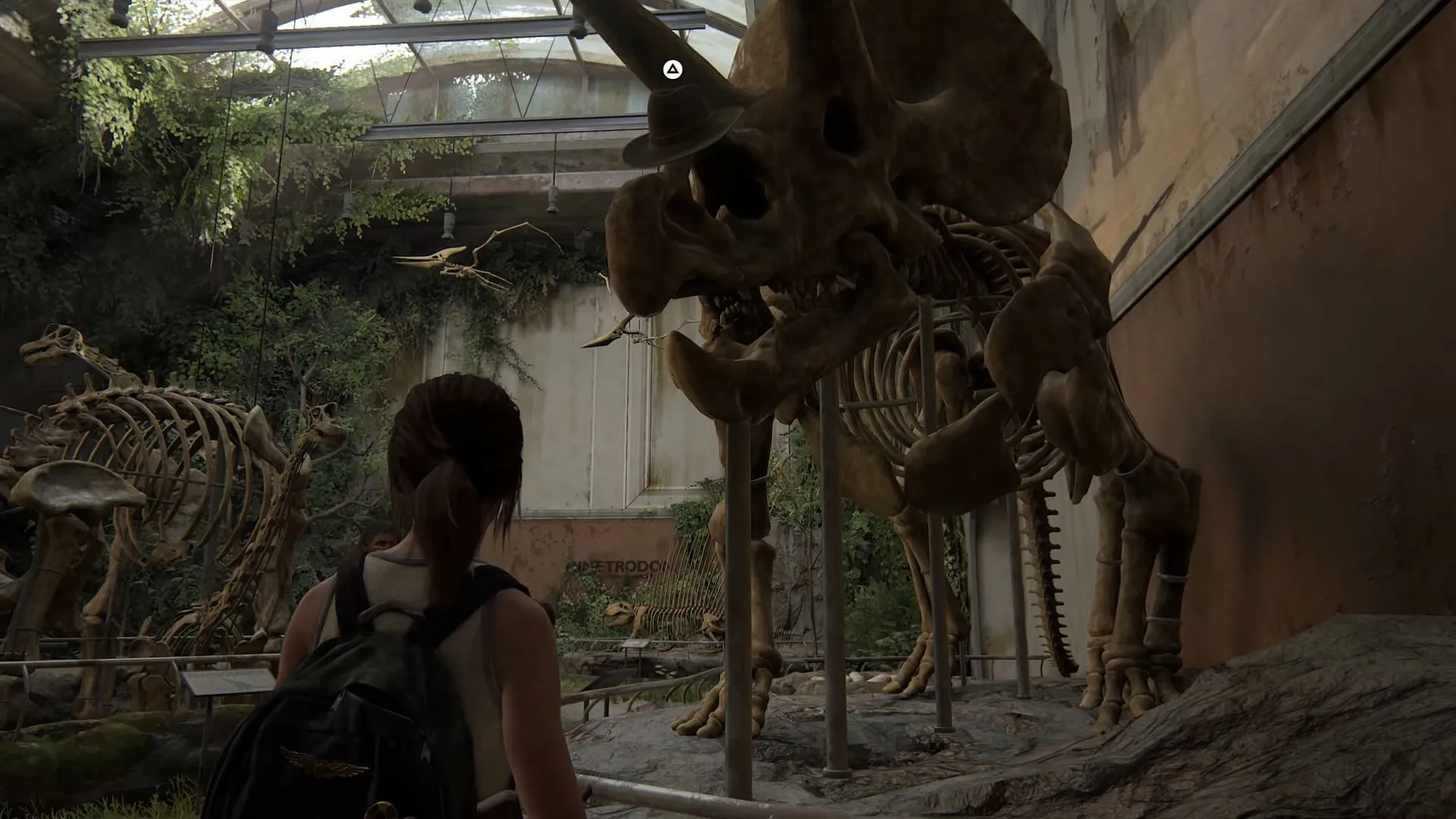 Triceratops fossil (Image via Naughty Dog)