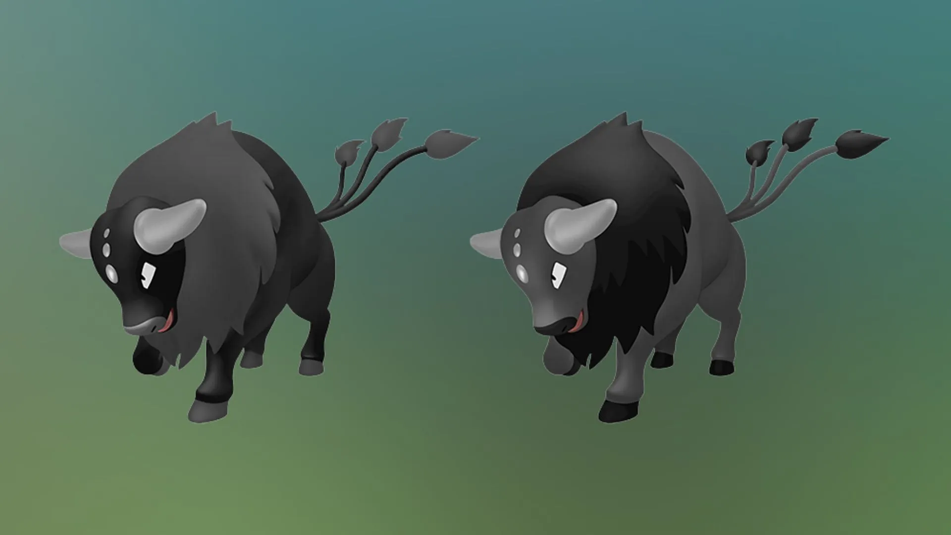 Shiny Combat Breed Paldean Tauros (Image via TPC)